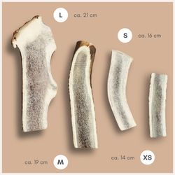 71VIUqcHRML.jpg 71VIUqcHRML.jpg