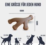 Position-7-alle.jpg