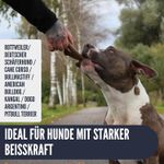 Position-9-alle.jpg