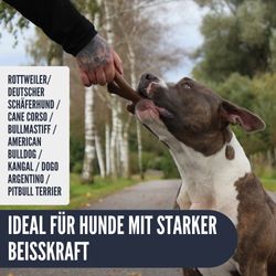 B0D6Z9NM8T-pt08.jpg B0D6Z9NM8T-pt08.jpg