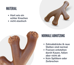 Mit-Huehnchen-Geruch--894-x-775-px---3-.png Mit-Huehnchen-Geruch--894-x-775-px---3-.png