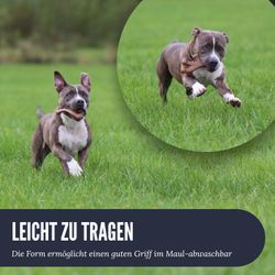 Position-6-alle.jpg Position-6-alle.jpg