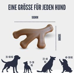 Position-7-alle.jpg Position-7-alle.jpg