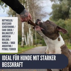 Position-9-alle.jpg Position-9-alle.jpg