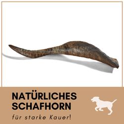 61VBA1S7BWL.jpg 61VBA1S7BWL.jpg