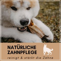 71o3v6poXKL.jpg 71o3v6poXKL.jpg