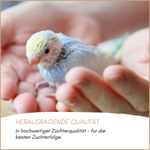 04-herkunft.png