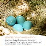 05-emotionales-bild-mit-qualitaet.png