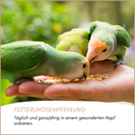 06-emotionales-bild-mit-qualitaet.png
