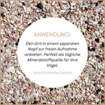 Leitfaden-fuer-Schriftarten-Unsere-Schriftarten-sind-am-effektivsten--wenn-sie-richtig-kombiniert-und-dimensioniert-sind--Leitfaden-fuer-Schriftarten-Unsere-Schriftarten-sind-am-effektivste.png