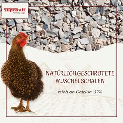 81bdAHMIdAL.jpg 81bdAHMIdAL.jpg