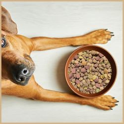 71WjmQ-vPXL.jpg 71WjmQ-vPXL.jpg