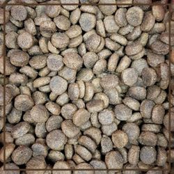 91yBPz5o3EL.jpg 91yBPz5o3EL.jpg