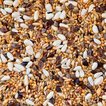 Supravit Großsittich Spezial