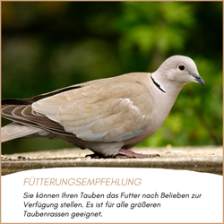 04-emotionales-bild-mit-qualitaet.png 04-emotionales-bild-mit-qualitaet.png