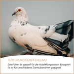 04-emotionales-bild-mit-qualitaet-ziertaubenshow.png