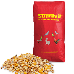 00-produktbild-basis.png 00-produktbild-basis.png