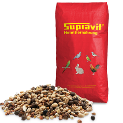 00-produktbild-ziertaubenshow.png 00-produktbild-ziertaubenshow.png