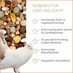 01-qualitaeten-jungundzucht.png 01-qualitaeten-jungundzucht.png