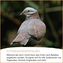 04-emotionales-bild-mit-qualitaet-jungundzucht.png 04-emotionales-bild-mit-qualitaet-jungundzucht.png