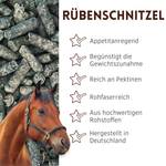 01-uebersicht-rueben.png