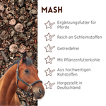 mash-01.png