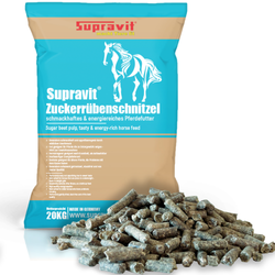 00-produktbild-rueben.png 00-produktbild-rueben.png