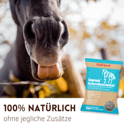 03-rueben.png 03-rueben.png