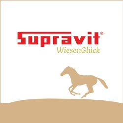 51O2k7FWVxL.jpg 51O2k7FWVxL.jpg