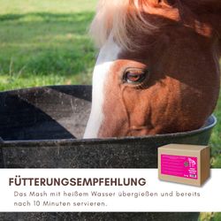 71FtVA2hdpL.jpg 71FtVA2hdpL.jpg