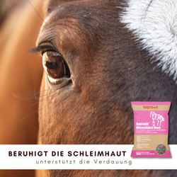 71Ik5TrVipL.jpg 71Ik5TrVipL.jpg