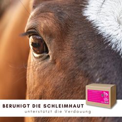 71fQA6OfeTL.jpg 71fQA6OfeTL.jpg