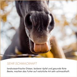 71zGDJf3f-L.jpg 71zGDJf3f-L.jpg