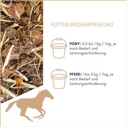 81Hpzig2JtL.jpg 81Hpzig2JtL.jpg