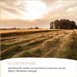 81M8LI3uwQL.jpg 81M8LI3uwQL.jpg