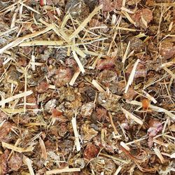 91lBoYJ8cFL.jpg 91lBoYJ8cFL.jpg