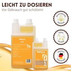 04-leinoel.png 04-leinoel.png