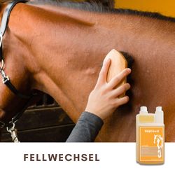 71T4n-psC-L.jpg 71T4n-psC-L.jpg