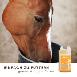 81uP6-Try9L.jpg 81uP6-Try9L.jpg