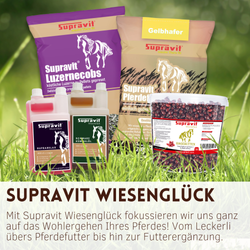 absender-produktsammlugn.png absender-produktsammlugn.png