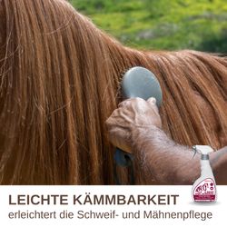 81JWUJixaQL.jpg 81JWUJixaQL.jpg