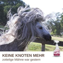 81VlPmqY-6L.jpg 81VlPmqY-6L.jpg