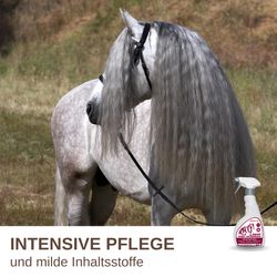 81g2aKZfElL.jpg 81g2aKZfElL.jpg