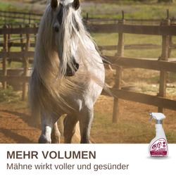 81wRcLHJBZL.jpg 81wRcLHJBZL.jpg