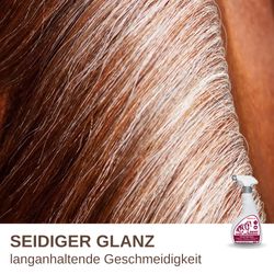 915j5pXKJEL.jpg 915j5pXKJEL.jpg