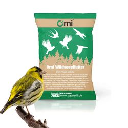 61pcNkG6JmL.jpg 61pcNkG6JmL.jpg