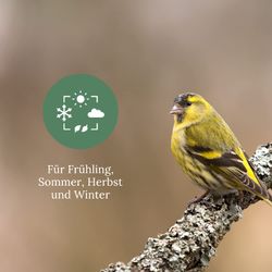 717vI2km6aL.jpg 717vI2km6aL.jpg