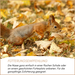 04-emotionales-bild-mit-qualitaet.png