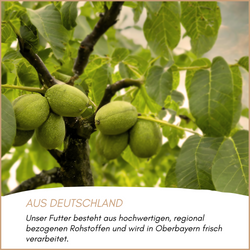 03-herkunft.png 03-herkunft.png