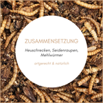 02-zusammensetzung.png